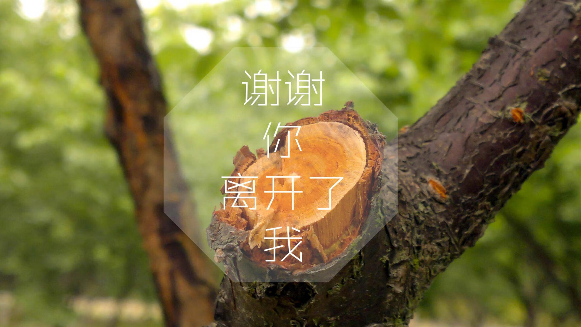 “高速超车:在弯道中破风前行的瞬间”,高速超车道行车规则