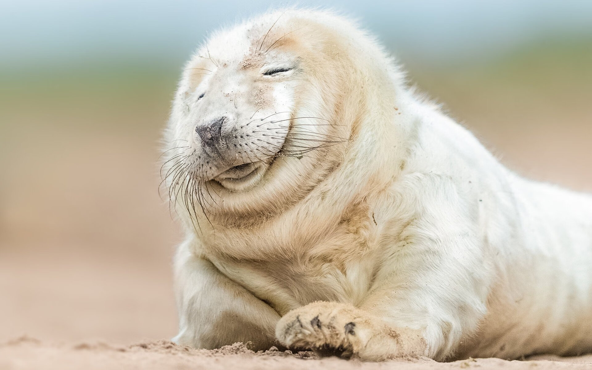 举办瑜伽行业论坛,探讨发展方向,开展瑜伽