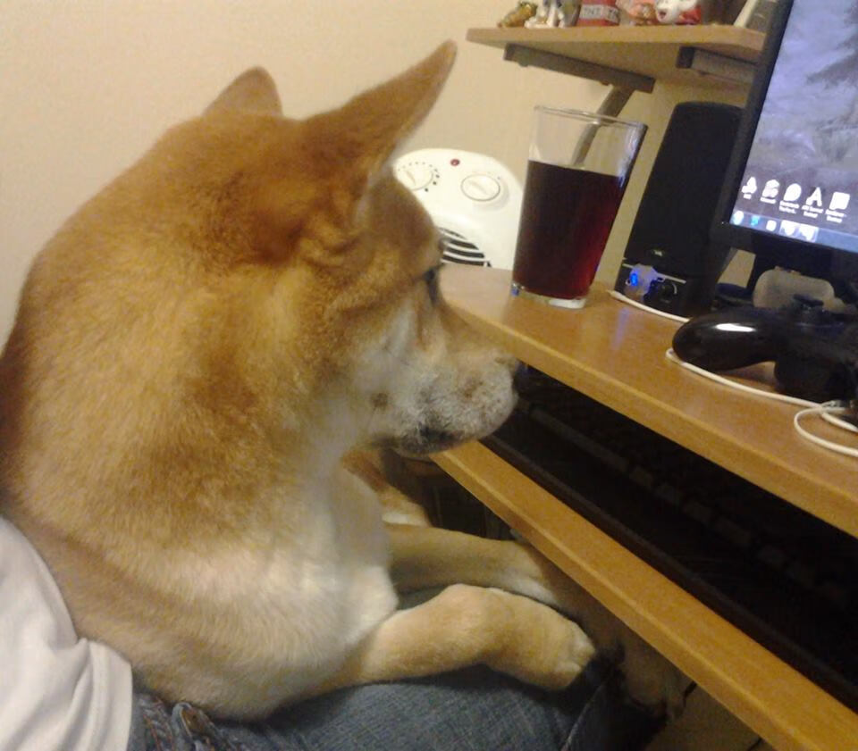 传承与创新：某球队百年荣耀的故事，足球传承宣言